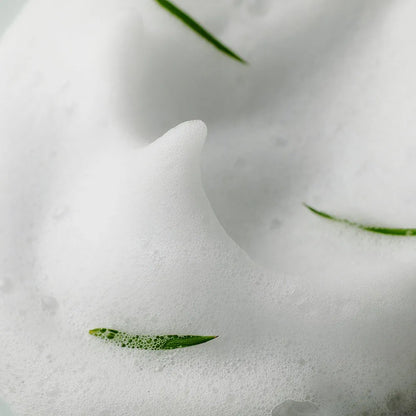 AHA-BHA-PHA 30 Days Miracle Acne Clear Foam – Some by Mi