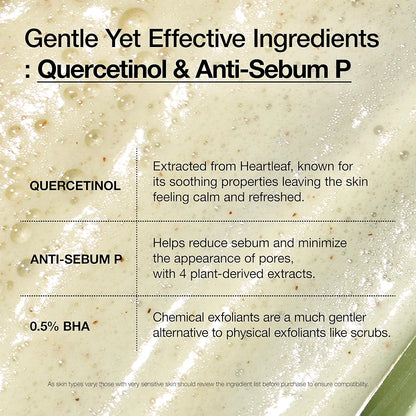 Heartleaf Quercetinol Pore Deep Cleansing Foam-Anua